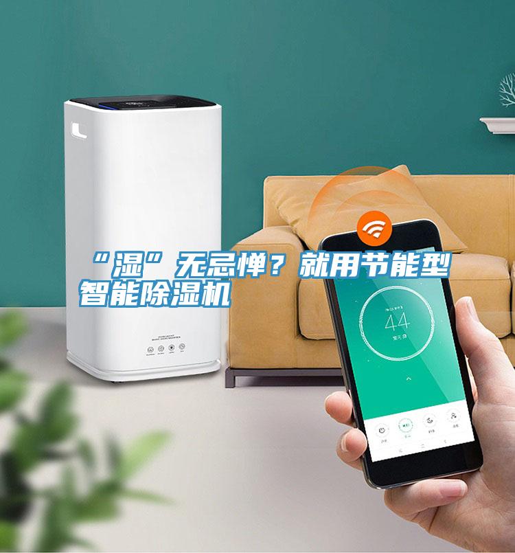 “濕”無忌憚？就用節能型智能除濕機