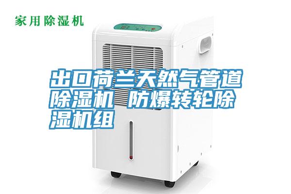 出口荷蘭天然氣管道除濕機 防爆轉(zhuǎn)輪除濕機組