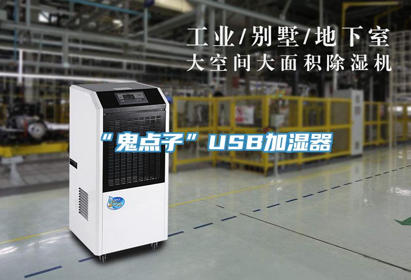 “鬼點子”USB加濕器