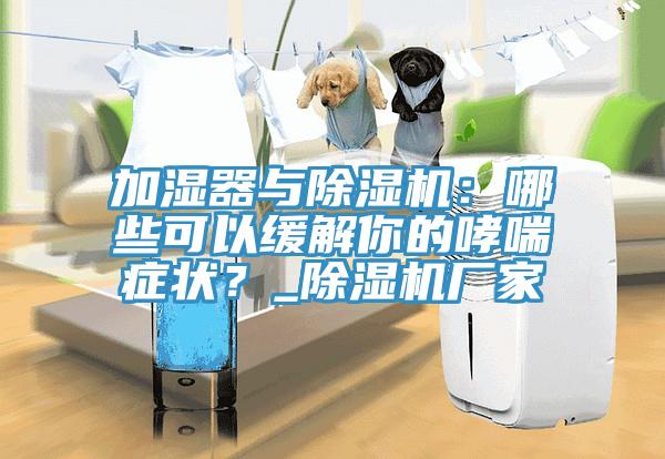 加濕器與除濕機(jī)：哪些可以緩解你的哮喘癥狀？_除濕機(jī)廠家