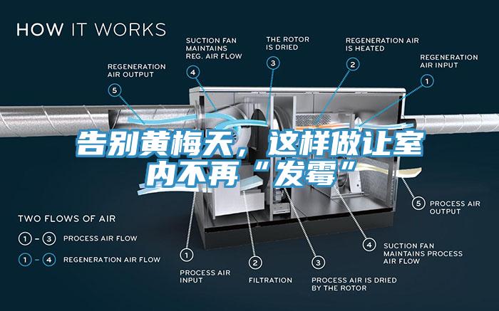 告別黃梅天，這樣做讓室內(nèi)不再“發(fā)霉”