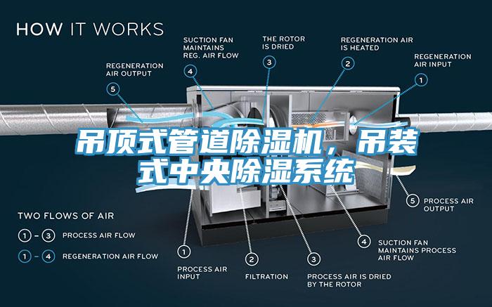 吊頂式管道除濕機，吊裝式中央除濕系統