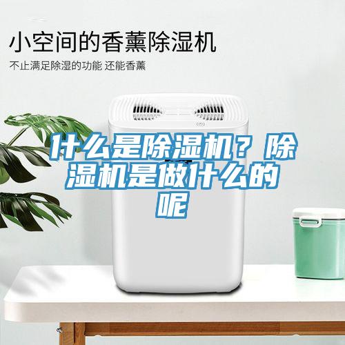 什么是除濕機？除濕機是做什么的呢