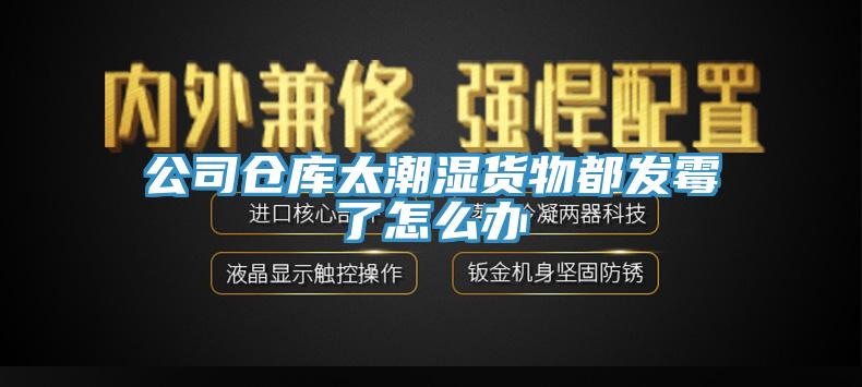 公司倉庫太潮濕貨物都發(fā)霉了怎么辦