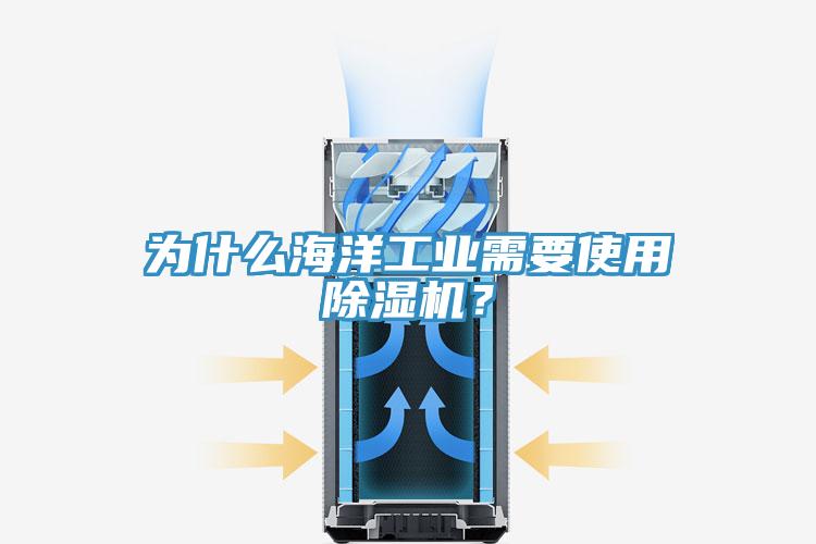 為什么海洋工業需要使用除濕機？