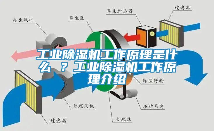 工業除濕機工作原理是什么 ？工業除濕機工作原理介紹