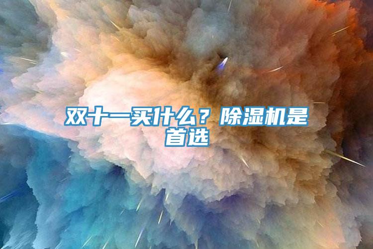 雙十一買什么？除濕機是首選