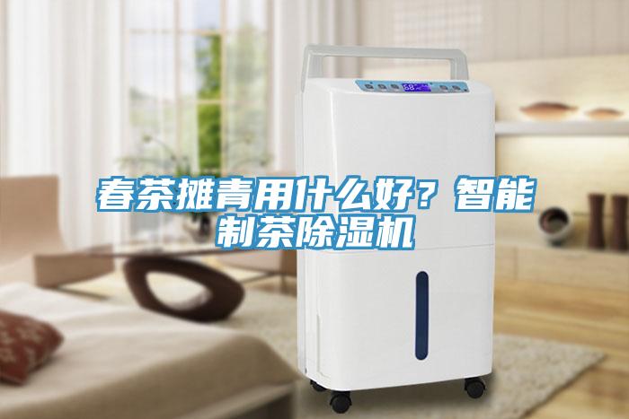 春茶攤青用什么好？智能制茶除濕機