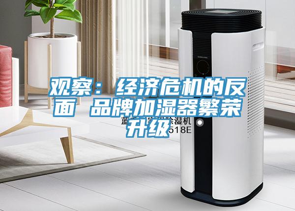 觀察：經(jīng)濟危機的反面 品牌加濕器繁榮升級