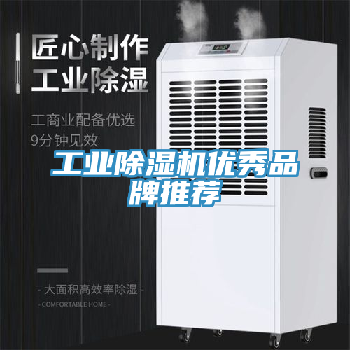 工業除濕機優秀品牌推薦