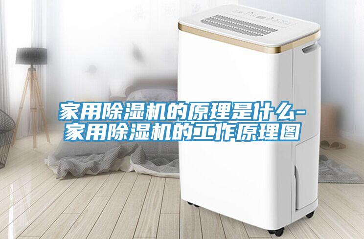 家用除濕機的原理是什么-家用除濕機的工作原理圖