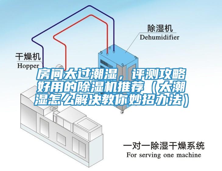 房間太過潮濕，評測攻略好用的除濕機(jī)推薦（太潮濕怎么解決教你妙招辦法）