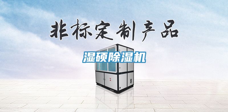 濕碩除濕機