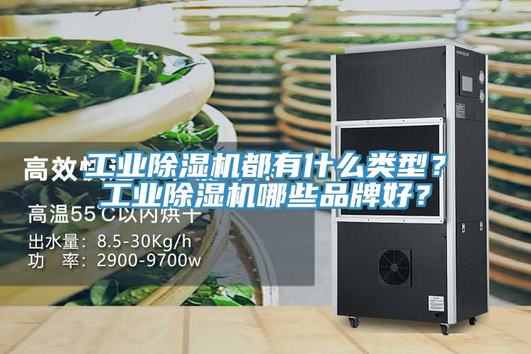 工業(yè)除濕機(jī)都有什么類型？工業(yè)除濕機(jī)哪些品牌好？