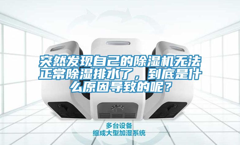 突然發現自己的除濕機無法正常除濕排水了，到底是什么原因導致的呢？