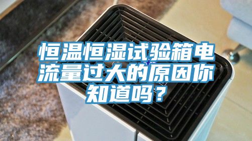 恒溫恒濕試驗(yàn)箱電流量過(guò)大的原因你知道嗎？