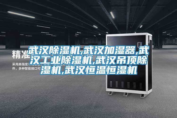 武漢除濕機,武漢加濕器,武漢工業除濕機,武漢吊頂除濕機,武漢恒溫恒濕機