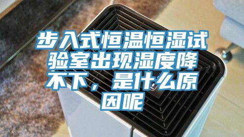 步入式恒溫恒濕試驗室出現濕度降不下，是什么原因呢