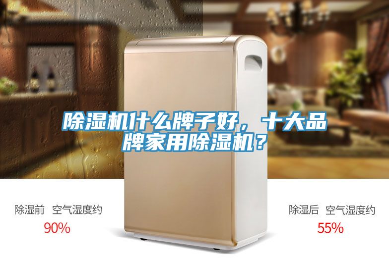 除濕機(jī)什么牌子好，十大品牌家用除濕機(jī)？