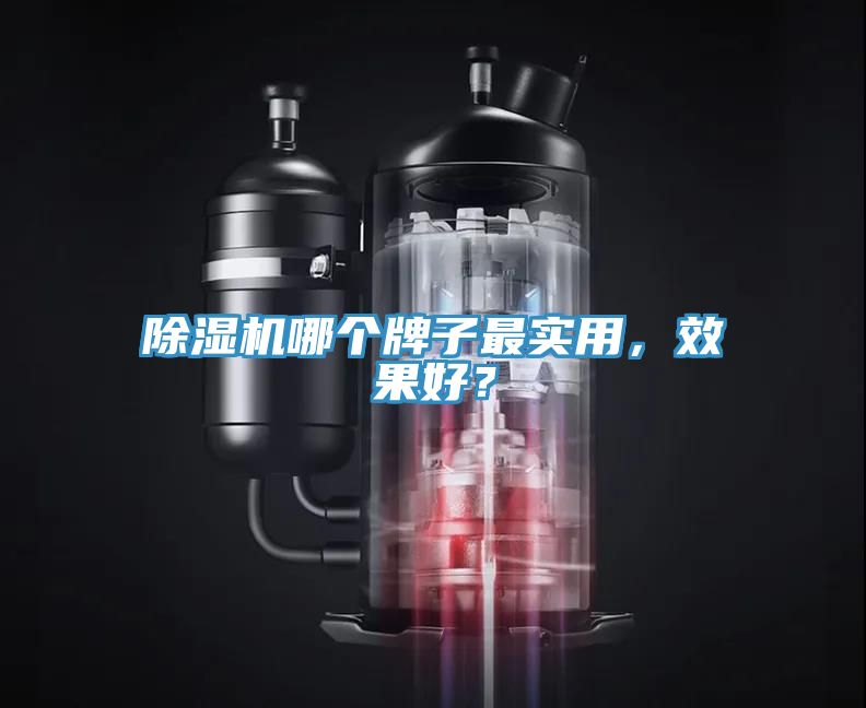 除濕機哪個牌子最實用，效果好？