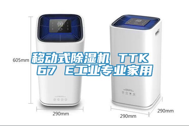 移動式除濕機 TTK 67 E工業專業家用