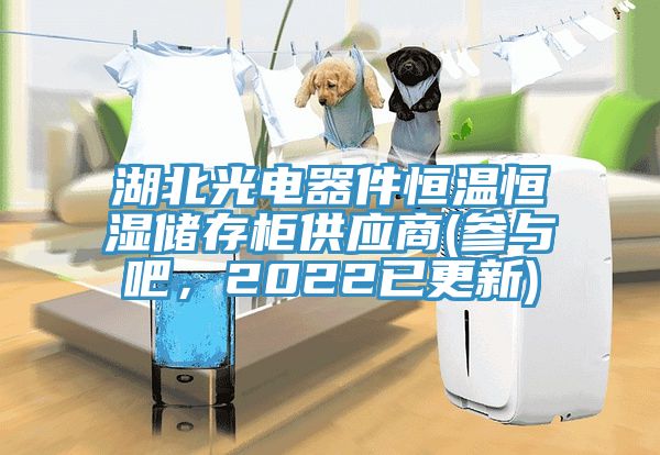 湖北光電器件恒溫恒濕儲存柜供應商(參與吧，2022已更新)