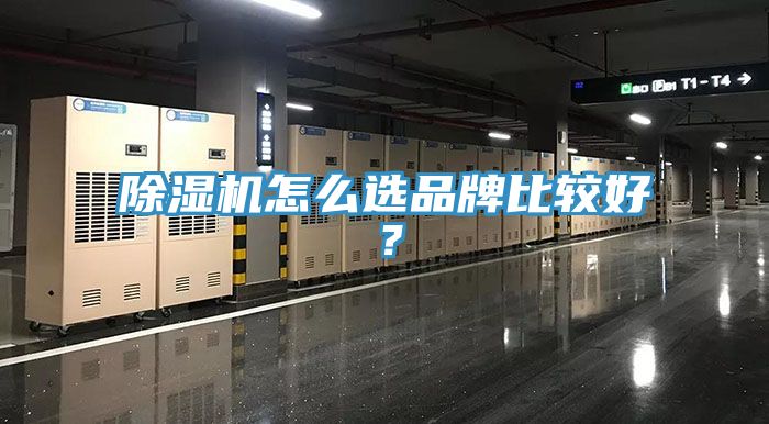 除濕機怎么選品牌比較好？