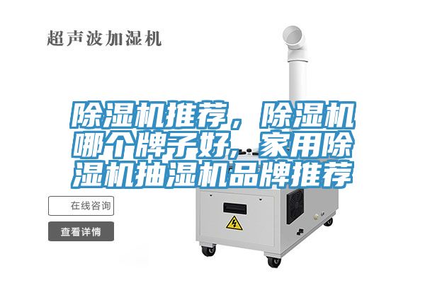 除濕機推薦，除濕機哪個牌子好, 家用除濕機抽濕機品牌推薦