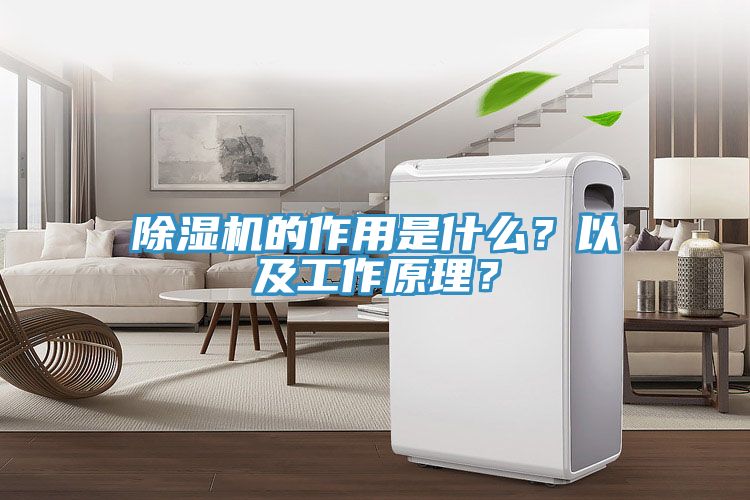 除濕機的作用是什么？以及工作原理？