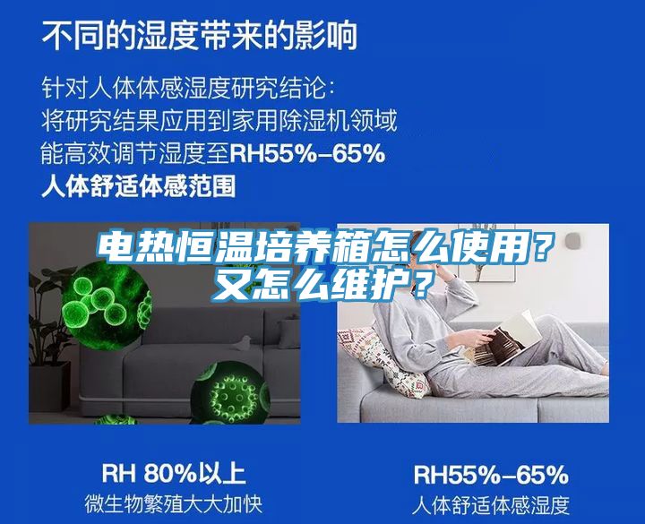 電熱恒溫培養箱怎么使用？又怎么維護？